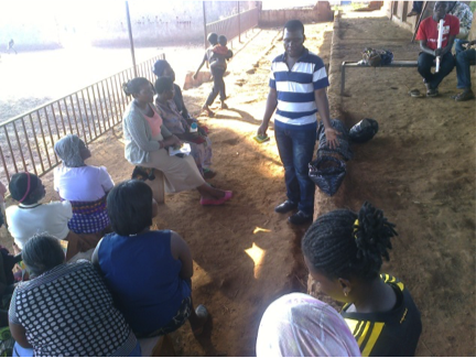 Pictures from our urban farming training session 